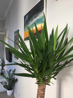 Kings Landing Apartament - 7