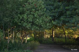 Four Fields Farm - 2