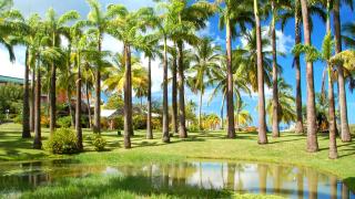 Hotel Bakoua Martinique - Les Trois-Îlets - 5