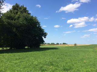 Abarolodge - Hannut - 1