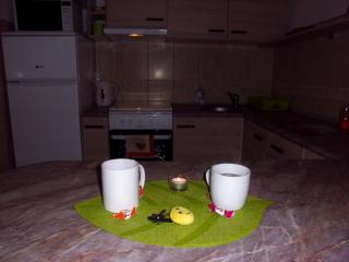 Smiley Apartman - Vrnjačka Banja - 1