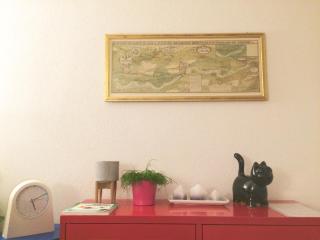 In Swiss Home - Rathaus from 1284 historical Apartment - Basilea - 3