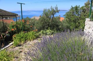 Seaside holiday house Miholascica, Cres - 8073 - 7