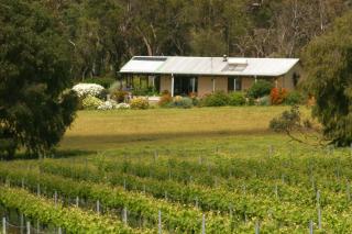 SilverSprings Spa Retreat Pet Friendly Cottages and Glampings - Metricup - 2