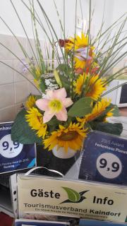 Ferienhaus Planetz - Kaindorf - 7