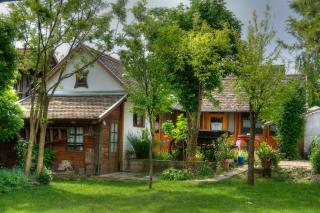 Ana Guesthouse - Senta - 3