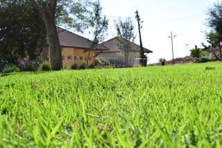 Aloney Habashan Guest village - Alonei Habashan - 6