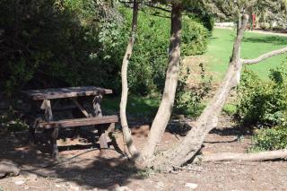 Aloney Habashan Guest village - Alonei Habashan - 3