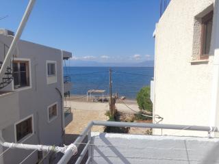 Finikas - Iria - 3