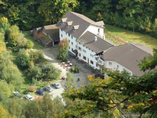 Hotel-Spa & Restaurant Logis Domaine Langmatt - Murbach - 3