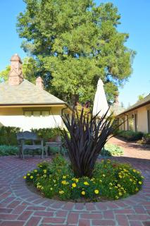 Vineyard Country Inn - St. Helena - 5