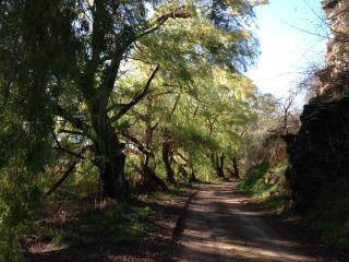 Lye Bow Lake Suite - 4