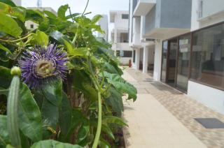 Blackroots Serviced Apartments - Coimbatore - 2