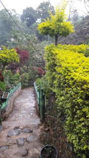 Green House - Nallathanniya - 6