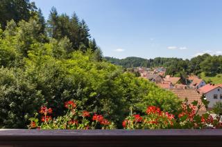 Hotel Die Kleine Blume - Erfweiler - 7
