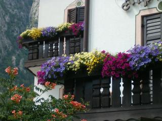 Hotel Stella Alpina - Fai della Paganella - 2
