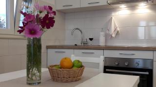 Apartman s pogledom - Ždrelac - 4