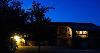 Cascina Alberta - Vignale Monferrato - 1