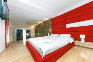 VIP Apartment at Horodetskoho 4 - Kiev - 0