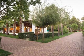 Quinta da Mimosa - Fajarda - 7