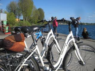 Modernes Appartement am See - Waren - 9