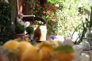 ackselhaus & blue Home - 3