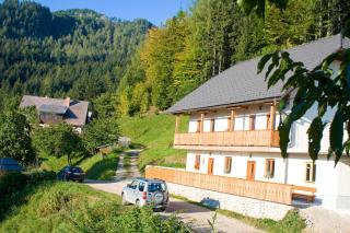 Turistična kmetija Perk - 8