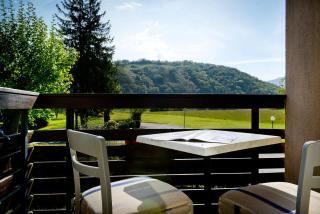 Logis Le Vieux Logis - Lestelle-Bétharram - 9