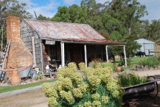 Mancuso Country Cottage Retreat - Metcalfe - 5
