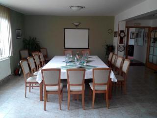 Pension U Labe - Hradec Králové - 3