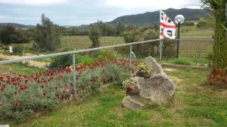 Agriturismo Su Solianu - Bari Sardo - 5