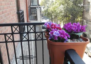 Avlabari Apartment - Tbilisi City - 4