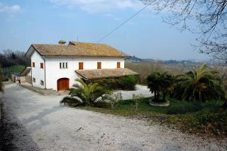 Casa Vacanze Le Palme - Servigliano - 7