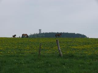 Ferienwohnung Nimm dir Zeit - Hinterhermsdorf - 1