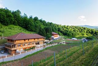 B&B Zlatna Nit - 3