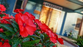Blue Summit Hideaway - Yungaburra - 2