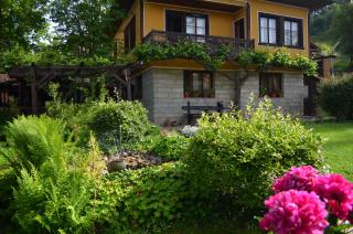 Dona Guest House - Horse Riding - 5