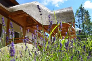 Lodge Seaside Boutique Hotel - Heiligendamm - 6