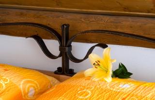 Wellness Hotel Holzberg - 7