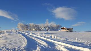 Eyvindartunga farm cottage - Laugarvatn - 7