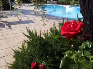 Agriturismo I Tesori del Sud Vieste, Puglia - Vieste - 3