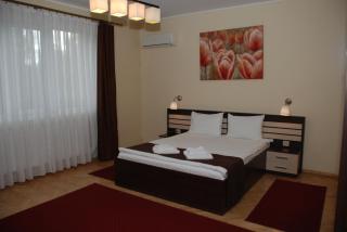 Vila Parc - Cluj-Napoca - 3