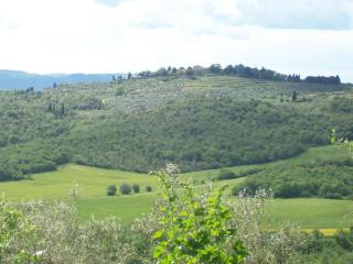 Villa Chiara - Pergine Valdarno - 9
