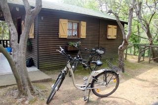Caravelle Camping Village - Ceriale - 4