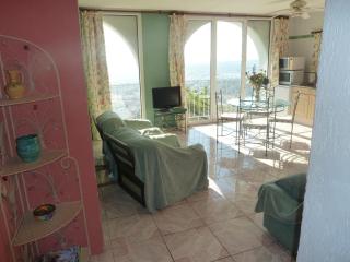 Villa Mt Fleuri - Nice - 1