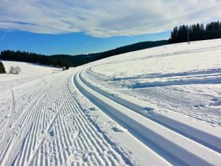 Outdoor & Relax Blackforest - Neukirch - 2