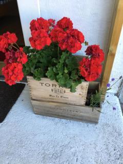 Rum i villa - Kärleksudden Norrtälje - Norrtälje - 7
