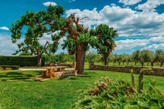 Villa Stanzia Cocci - 1