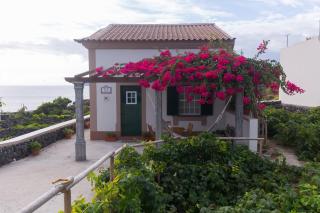 Casa das Vinhas - Feteira - 7