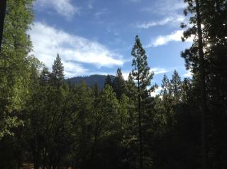 44R Grant's Camp - 1